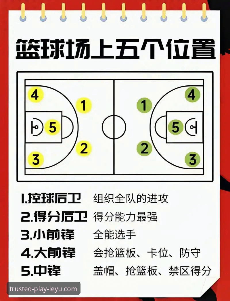 在乐鱼体育平台深度解析阿根廷大胜的实用指南